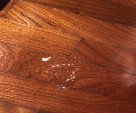 彩鋼瓦油漆91香蕉视频苹果版